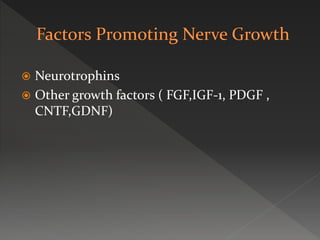  Neurotrophins
 Other growth factors ( FGF,IGF-1, PDGF ,
CNTF,GDNF)
 