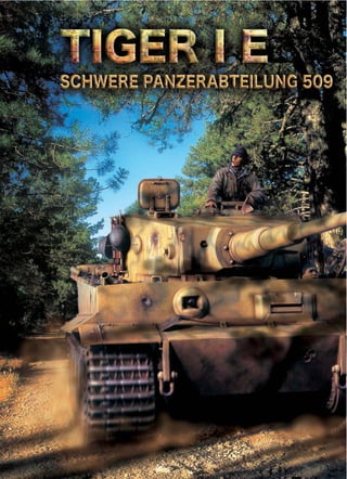 Pаnzer Aces (Armor Models) Issue 01 | PDF