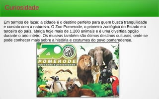 Curiosidade
Em termos de lazer, a cidade é o destino perfeito para quem busca tranquilidade
e contato com a natureza. O Zoo Pomerode, o primeiro zoológico do Estado e o
terceiro do país, abriga hoje mais de 1.200 animais e é uma divertida opção
durante o ano inteiro. Os museus também são ótimos destinos culturais, onde se
pode conhecer mais sobre a história e costumes do povo pomerodense.
 