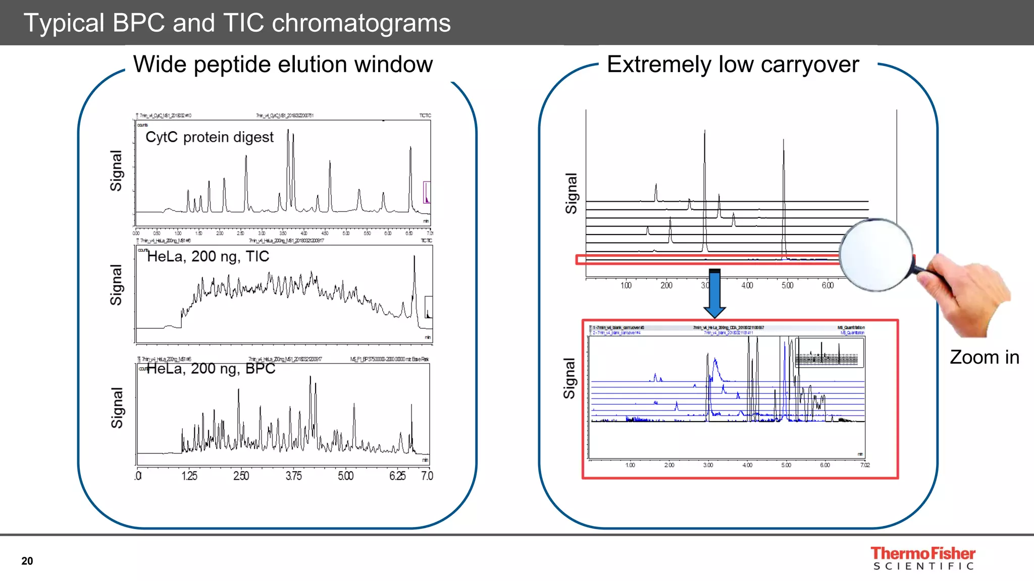 20
Typical BPC and TIC chromatograms
Wide peptide elution window Extremely low carryover
Zoom in
 