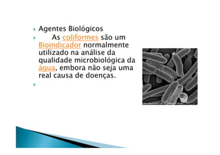    Agentes Biolägicos
        As coliformes sÇo um
    Bioindicador normalmente
    utilizado na anÉlise da
    qualidade microbiolägica da
    Égua, embora nÇo seja uma
    real causa de doenÅas.

 