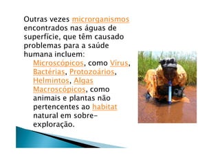 Outras vezes microrganismos
encontrados nas Éguas de
superfÖcie, que tàm causado
problemas para a saÜde
humana incluem:
  Microscäpicos, como VÖrus,
  BactÑrias, ProtozoÉrios,
  Helmintos, Algas
  Macroscäpicos, como
  animais e plantas nÇo
  pertencentes ao habitat
  natural em sobre-
  exploraÅÇo.
 