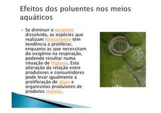    Se diminuir o oxigÑnio
    dissolvido, as espÑcies que
    realizam fotossÖntese tàm
    tendància a proliferar,
    enquanto as que necessitam
    do oxigÑnio na respiraÅÇo,
    podendo resultar numa
    situaÅÇo de Hipoxia. Esta
    alteraÅÇo da relaÅÇo entre
    produtores e consumidores
    pode levar igualmente â
    proliferaÅÇo de algas e
    organismos produtores de
    produtos täxicos.
 