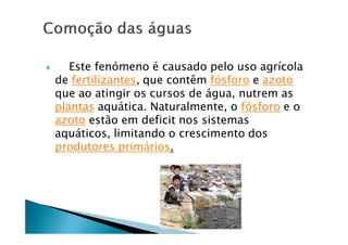       Este fenämeno Ñ causado pelo uso agrÖcola
    de fertilizantes, que contàm fäsforo e azoto
    que ao atingir os cursos de Égua, nutrem as
    plantas aquÉtica. Naturalmente, o fäsforo e o
    azoto estÇo em deficit nos sistemas
    aquÉticos, limitando o crescimento dos
    produtores primÉrios.
 