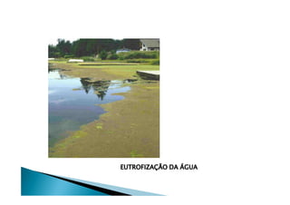 EUTROFIZAÇÉO DA ÑGUA
 