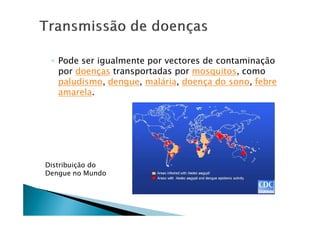◦ Pode ser igualmente por vectores de contaminaÅÇo
   por doenÅas transportadas por mosquitos, como
   paludismo, dengue, malÉria, doenÅa do sono, febre
   amarela.




DistribuiÅÇo do
Dengue no Mundo
 