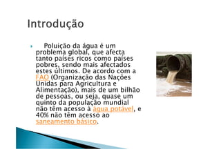       PoluiÅÇo da Égua Ñ um
    problema global, que afecta
    tanto paÖses ricos como paÖses
    pobres, sendo mais afectados
    estes Ültimos. De acordo com a
    FAO (OrganizaÅÇo das NaÅáes
    Unidas para Agricultura e
    AlimentaÅÇo), mais de um bilhÇo
    de pessoas, ou seja, quase um
    quinto da populaÅÇo mundial
    nÇo tàm acesso â Égua potÉvel, e
    40% nÇo tàm acesso ao
    saneamento bÉsico.
 