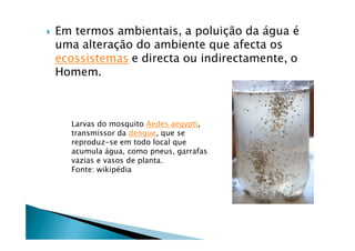    Em termos ambientais, a poluiÅÇo da Égua Ñ
    uma alteraÅÇo do ambiente que afecta os
    ecossistemas e directa ou indirectamente, o
    Homem.



      Larvas do mosquito Aedes aegypti,
      transmissor da dengue, que se
      reproduz-se em todo local que
      acumula Égua, como pneus, garrafas
      vazias e vasos de planta.
      Fonte: wikipÑdia
 