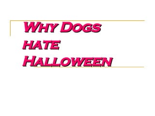 Why Dogs hate Halloween 