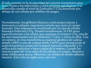 El sida consiste en la incapacidad del sistema inmunitario para hacer frente a las infecciones y otros procesos patológicos, y se desarrolla cuando el nivel de Linfocitos T CD4 desciende por debajo de 200 células por mililitro de sangre.Normalmente, los glóbulos blancos y anticuerpos atacan y destruyen a cualquier organismo extraño que entra al cuerpo humano. Esta respuesta es coordinada por un tipo de células llamados linfocitos CD4. Desafortunadamente, el VIH ataca específicamente a las células que expresan el receptor CD4, una de las más importantes son los linfocitos T CD4+ y entra en ellos. Una vez dentro, el virus transforma su material genético de cadena simple (ARN) a uno de cadena doble (ADN) para incorporarlo al material genético propio del huésped (persona infectada) y lo utiliza para replicarse o hacer copias de sí mismo. Cuando las nuevas copias del virus salen de las células a la sangre, buscan a otras células para atacar. Mientras, las células de donde salieron mueren. Este ciclo se repite una y otra vez.