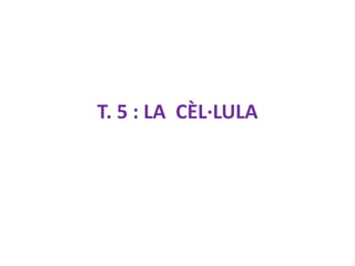 T. 5 : LA CÈL·LULA
 