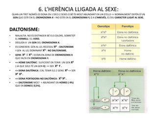 6. L’HERÈNCIA LLIGADA AL SEXE:
    QUAN UN TRET NOMÉS ES DONA EN 1 DELS 2 SEXES O BÉ ÉS MOLT ABUNDANT EN UN D’ELLS => NORMALMENT DEPÈN D’UN
     GEN QUE ESTÀ EN EL CROMOSOMA X I NO ESTÀ EN EL CROMOSOMA Y, O A L’INREVÉS, ES DIU CARÀCTER LLIGAT AL SEXE.



DALTONISME:
•     MALALTIA: NO ES DISTINGEIX BÉ ELS COLORS, SOBRETOT
      EL VERMELL I EL VERD.
•     DEGUDA A UN GEN DEL CROMOSOMA X.
•     ES CONEIXEN: GEN AL·LEL RECESSIU Xd : DALTONISME
      I GEN AL·LEL DOMINANT XD : NO DALTONISME.
•     GENS Xd i XD : ESTAN EN ZONA DE CROMOSOMA X
      QUE FALTA EN CROMOSOMA Y.
•     => HOME DALTÒNIC : SUFICIENT EN TENIR UN GEN Xd
      ( JA QUE SOLS TÉ UN GEN X) => SER Xd Y .
•     => DONA DALTÒNICA : CAL TENIR ELS 2 GENS Xd => SER
      Xd Xd .
•     => DONA PORTADORA NO DALTÒNICA: XD Xd .
•     => DALTONISME MOLT + ABUNDANT EN HOMES ( 4%)
      QUE EN DONES ( 0,5%).
 