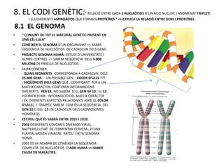 8. EL CODI GENÈTIC:” RELACIÓ ENTRE CADA 3 NUCLEÒTIDS D’UN ÀCID NUCLEIC ( ANOMENAT TRIPLET)
        I ELS DIFERENTS AMINOÀCIDS QUE FORMEN PROTEÏNES.” => EXPLICA LA RELACIÓ ENTRE GENS I PROTEÏNES.

8.1 EL GENOMA
•   “ CONJUNT DE TOT EL MATERIAL GENÈTIC PRESENT EN
    UNA CÈL·LULA”
•   CONÈIXER EL GENOMA D’UN ORGANISME => SABER
    SEQÜÈNCIA DE NUCLEÒTIDS DE CADASCUN DELS GENS.
•   PROJECTE GENOMA HUMÀ: ESTUDI D’UNIVERSITATS I
    ALTRES CENTRES => SABEM SEQÜÈNCIA DELS 3.000
    MILIONS DE PARELLS DE NUCLEÒTIDS .
•   FALTA CONÈIXER:
    - QUINS SEGMENTS CORRESPONEN A CADASCUN DELS
    25.000 GENS . UN POSSIBLE GEN : COLOR D’ULLS ???
    - SEQÜÈNCIES DELS GENS QUE , CODIFICANT PER A UN
    MATEIX CARÀCTER, CONTENEN INFORMACIONS
    DIFERENTS. PER EX. NO SABEM SI EL GEN Nª 10 I EL 13
    PODRIEN TENIR INFORMACIÓ DEL MATEIX CARÀCTER
    ( EX. DIFERENTS ASPECTES RELACIONATS AMB EL COLOR
    D’ULLS), I TAMPOC SABEM COM ÉS LA SEQÜÈNCIA DEL
    GEN 10 O DEL 13 EN CADASCUN DELS CROMOSOMES
    HOMÒLEGS.
•   ES CREU QUE ES SABRÀ ENTRE 2010 I 2020.
•   2002 DESXIFRATS GENOMES DIVERSOS VIRUS,
    BACTERIS,LLEVAT DE FERMENTAR CERVESA , D’UNA
    PLANTA, MOSCA VINAGRE, RATOLÍ I 90 % GENOMA
    HUMÀ.
•   2003 ES VA ACABAR DE CONÈIXER LA SEQÜÈNCIA
    COMPLETA DE NUCLEÒTIDS D’ADN HUMÀ => SABER
    CAUSA DE MALALTIES.
 