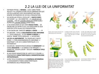 2.2 LA LLEI DE LA UNIFORMITAT
•   DEFINIDA PER G. J. MENDEL ( 1822-1884) FRARE
    AGUSTÍ I FILL D’AGRICULTORS VOLIA ESBRINAR PER QUÈ
    LES PECULIARITATS DELS DESCENDENTS NO EREN
    SEMPRE INTERMÈDIES DE LES DELS PROGENITORS.
•   VA ENCREUAR PÈSOLS, ESCOLLINT 2 RACES PURES :
    ESTUDIANT 1er UN CARÀCTER -> EL COLOR DE LES
    LLAVORS. UNS DE LLAVORS GROGUES (VERD CLAR) I
    ALTRES DE LLAVORS VERDES (VERD FOSC).
•   1) VA ASSEGURAR-SE QUE EREN RACES PURES: VA
    ENCREUAR-LES ENTRE ELLES I VA ASSEGURAR-SE QUE
    SORTIEN TOTES IGUALS ALS PROGENITORS.
•   2) VA ENCREUAR VARIETAT GROGA X VERDA -------
•   VA OBTENIR : TOTA LA DESCENDÈNCIA ERA UNIFORME
    => TOTES GROGUES. SI FEIA VERDA X GROGA =>
    SORTIA TAMBÉ TOTES GROGUES => VA DEFINIR:
•   LLEI DE LA UNIFORMITAT: “AL ENCREUAR 2 RACES
    PURES => TOTA DESCENDÈNCIA ÉS UNIFORME =>
    MOSTRANT 1 DE LES 2 CARACTERÍSTIQUES O 1
    INTERMÈDIA”.
•   VA DEDUIR: MANIFESTACIÓ GROGA ÉS DOMINANT I LA
    VERDA RECESSIVA => LA GROGA S’HA IMPOSAT =>
    CARÀCTER “COLOR LLAVOR “ SEGUEIX HERÈNCIA TIPUS
    DOMINANT .
•   AL NO PODER MANIFESTAR-SE JUNTS ELS 2 COLORS =>
    S’ANOMENEN CARACTERÍSTIQUES O MANIFESTACIONS
    ANTAGÒNIQUES.
•   ALTRE TIPUS D’HERÈNCIA ÉS L’HERÈNCIA INTERMÈDIA
    => DESCENDENTS TENEN CARACTERÍSTIQUES
    INTERMÈDIES DELS PROGENITORS.
 