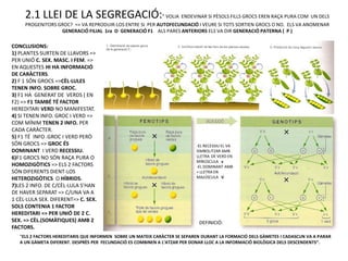 2.1 LLEI DE LA SEGREGACIÓ:” VOLIA ENDEVINAR SI PÈSOLS FILLS GROCS EREN RAÇA PURA COM UN DELS
     PROGENITORS GROC? => VA REPRODUIR-LOS ENTRE SI PER AUTOFECUNDACIÓ I VEURE SI TOTS SORTIEN GROCS O NO. ELS VA ANOMENAR
                  GENERACIÓ FILIAL 1ra O GENERACIÓ F1 ALS PARES ANTERIORS ELS VA DIR GENERACIÓ PATERNA ( P )

CONCLUSIONS:
1) PLANTES SURTEN DE LLAVORS =>
PER UNIÓ C. SEX. MASC. I FEM. =>
EN AQUESTES HI HA INFORMACIÓ
DE CARÀCTERS.
2) F 1 SÓN GROCS =>CÈL·LULES
TENEN INFO. SOBRE GROC.
3) F1 HA GENERAT DE VERDS ( EN
F2) => F1 TAMBÉ TÉ FACTOR
HEREDITARI VERD NO MANIFESTAT.
4) SI TENEN INFO. GROC I VERD =>
COM MÍNIM TENEN 2 INFO. PER
CADA CARÀCTER.
5) F1 TÉ INFO .GROC I VERD PERÒ
SÓN GROCS => GROC ÉS                                                        -EL RECESSIU EL VA
DOMINANT I VERD RECESSIU.                                                   SIMBOLITZAR AMB
6)F1 GROCS NO SÓN RAÇA PURA O                                               LLETRA DE VERD EN
                                                                            MINÚSCULA v
HOMOZIGÒTICS => ELS 2 FACTORS                                               -EL DOMINANT AMB
SÓN DIFERENTS DIENT-LOS                                                     = LLETRA EN
HETEROZIGÒTICS O HÍBRIDS.                                                   MAJÚSCULA V
7)LES 2 INFO. DE C/CÈL·LULA S’HAN
DE HAVER SEPARAT => C/UNA VA A
1 CÈL·LULA SEX. DIFERENT=> C. SEX.
SOLS CONTENIA 1 FACTOR
HEREDITARI => PER UNIÓ DE 2 C.
SEX. => CÈL.(SOMÀTIQUES) AMB 2                                               DEFINICIÓ:
FACTORS.
   “ELS 2 FACTORS HEREDITARIS QUE INFORMEN SOBRE UN MATEIX CARÀCTER SE SEPAREN DURANT LA FORMACIÓ DELS GÀMETES I CADASCUN VA A PARAR
   A UN GÀMETA DIFERENT. DESPRÈS PER FECUNDACIÓ ES COMBINEN A L’ATZAR PER DONAR LLOC A LA INFORMACIÓ BIOLÒGICA DELS DESCENDENTS”.
 