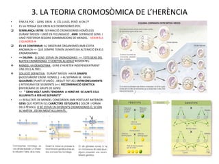3. LA TEORIA CROMOSÒMICA DE L’HERÈNCIA
•   FINS FA POC : GENS EREN A CÈL·LULES, PERÒ A ON ??
•   ES VA PENSAR QUE EREN ALS CROMOSOMES PER:
   SEMBLANÇA ENTRE :SEPARACIÓ CROMOSOMES HOMÒLEGS
    DURANT MEIOSI I UNIÓ EN FECUNDACIÓ , AMB SEPARACIÓ GENS I
    UNIÓ POSTERIOR SEGONS COMBINACIONS DE MENDEL. VEIEM ELS
    2 QUADRES
   ES VA CONFIRMAR: AL OBSERVAR ORGANISMES AMB CERTA
    ANOMALIA => QUE SEMPRE TENIEN LA MATEIXA ALTERACIÓ EN ELS
    CROMOSOMES.
•   => DILEMA : SI GENS ESTAN EN CROMOSOMES => TOTS GENS DEL
    MATEIX CROMOSOMA S’HERETEN ALHORA? RESPOSTES:
   MENDEL VA DEMOSTRAR : GENS S’HERETEN INDEPENDENTMENT
    UNS DELS ALTRES .
   SOLUCIÓ DEFINITIVA: DURANT MEIOSI HAVIA SINAPSI
    (ACOSTAMENT CROM. HOMOL.) -> AL SEPARAR-SE HAVIA
    QUIASMES (PUNTS D’UNIÓ ) , DEGUT TOT ALS ENTRECREUAMENTS
    ( INTERCANVI DE SEGMENTS )=> ( RECOMBINACIÓ GENÈTICA
    (INTERCANVI DE GRUPS DE GENS)
    => “ GENS MOLT JUNTS TENDIRAN A HERETAR -SE JUNTS I ELS
    ALLUNYATS A FER-HO SEPARATS”
•   => RESULTATS DE MENDEL CONCORDEN AMB POSTULAT ANTERIOR:
    GENS QUE PORTEN ELS CARÀCTERS ESTUDIATS ( COLOR I FORMA
    DELS PÈSOLS) O BÉ ESTAN EN DIFERENTS CROMOSOMES O, SI SÓN
    AL MATEIX , ESTAN MOLT ALLUNYATS .
 