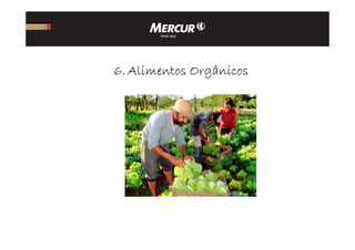 6666.... Alimentos OrgânicosAlimentos OrgânicosAlimentos OrgânicosAlimentos Orgânicos
 