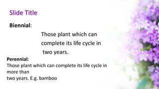 Slide Title
Biennial:
Those plant which can
complete its life cycle in
two years.
Perennial:
Those plant which can complete its life cycle in
more than
two years. E.g. bamboo
 