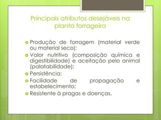 Principais atributos desejáveis na
planta forrageira
 Produção de forragem (material verde
ou material seco);
 Valor nutritivo (composição química e
digestibilidade) e aceitação pelo animal
(palatabilidade);
 Persistência;
 Facilidade de propagação e
estabelecimento;
 Resistente à pragas e doenças.
 