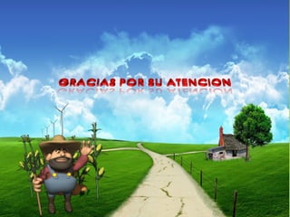 Poaceae Gramíneas  pabloacosta