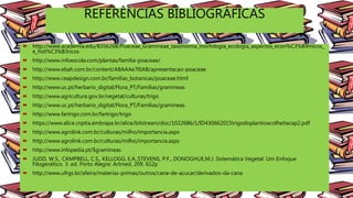 Poaceae Sistemática Vegetal | PPTX