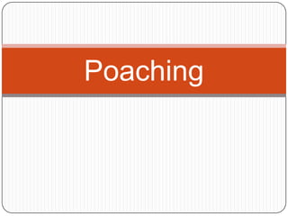 Poaching
 
