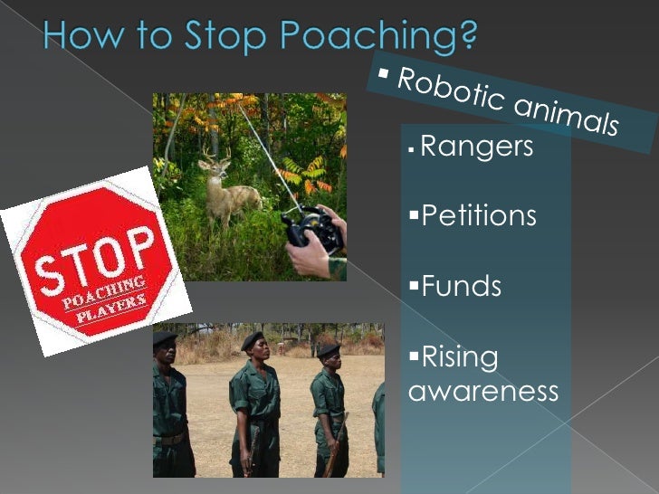 Poaching exhibition