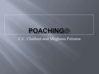 Poaching C.C. Chalfant and Meghana Patnana  