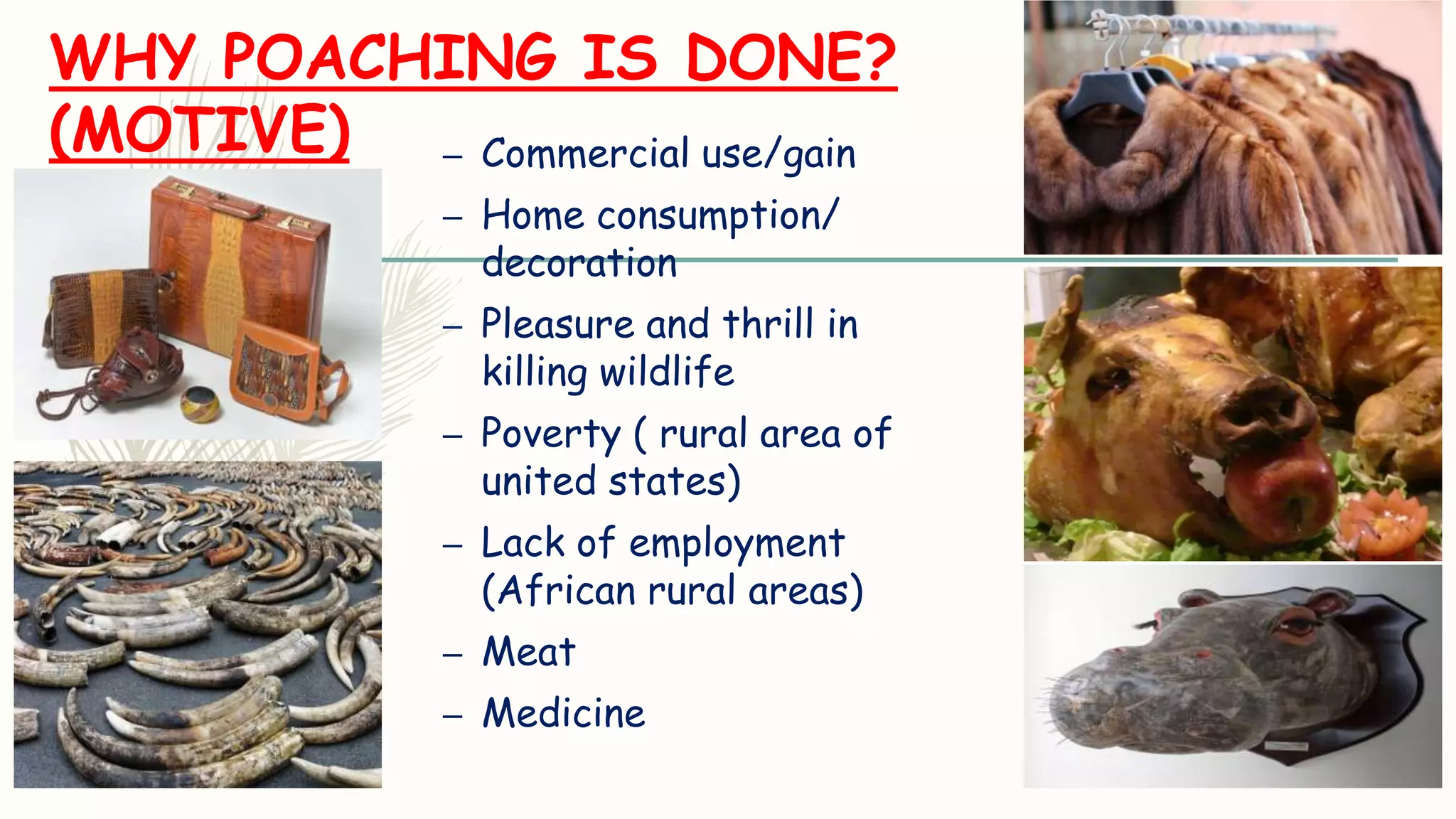 Poaching methods | PPTX