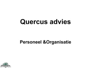 Quercus advies Personeel &Organisatie 