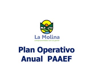 Plan Operativo Anual  PAAEF 
