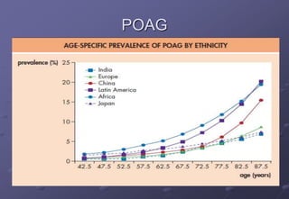 POAG
Risk factors:
 The higher the IOP/Asymmetry of IOP of 4 mmHg or
more
 Older age
 More common in black individuals than in whites
 Genetics
 Steroid usages
 Diabetes mellitus
 Myopia
 Contraceptive pill
 Vascular disease
 Translaminar pressure gradient.
 Large discs
 