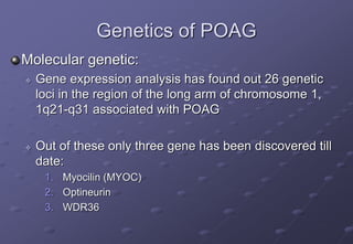 Genetics of POAG
Molecular genetic:
 Gene expression analysis has found out 26 genetic
loci in the region of the long arm of chromosome 1,
1q21-q31 associated with POAG
 Out of these only three gene has been discovered till
date:
1. Myocilin (MYOC)
2. Optineurin
3. WDR36
 
