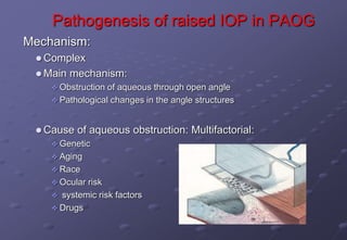 Pathogenesis of raised IOP in PAOG
Mechanism:
 Complex
 Main mechanism:
 Obstruction of aqueous through open angle
 Pathological changes in the angle structures
 Cause of aqueous obstruction: Multifactorial:
 Genetic
 Aging
 Race
 Ocular risk
 systemic risk factors
 Drugs
 