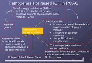 Pathogenesis of raised IOP in POAG
obstruction of
aqueous outflow
High risk
groups
Transforming growth factors (TGFs)
• Inhibition of epithelial cell growth
• excessive amounts of extracellular matrix
materials - GAGs
Alteration of TM:
• increase in extracellular matrix and
an accumulation of “plaque
material.”
• Thickening of basement
membrane
• disrupt TM cell actin
microfilaments
Thickening of juxtacanalicular
connective tissue
Decreased in Pores and giant vacuoles in
the inner wall endothelium of the
Schlemm canal
Collapse of the Schlemm Canal
Alterations of the
Intrascleral Channels
• due to a swelling of
glycosaminoglycans in
the adjacent sclera
 