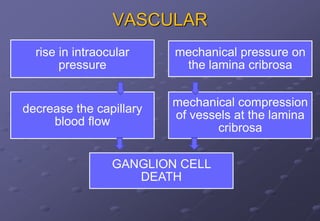 VASCULAR
rise in intraocular
pressure
mechanical pressure on
the lamina cribrosa
decrease the capillary
blood flow
mechanical compression
of vessels at the lamina
cribrosa
GANGLION CELL
DEATH
 