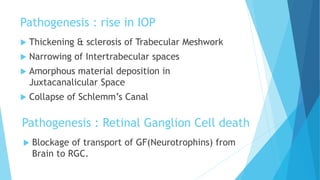 Pathogenesis : rise in IOP
 Thickening & sclerosis of Trabecular Meshwork
 Narrowing of Intertrabecular spaces
 Amorphous material deposition in
Juxtacanalicular Space
 Collapse of Schlemm’s Canal
Pathogenesis : Retinal Ganglion Cell death
 Blockage of transport of GF(Neurotrophins) from
Brain to RGC.
 
