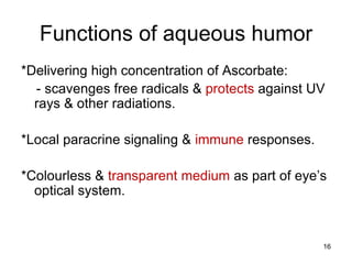 Functions of aqueous humor
*Delivering high concentration of Ascorbate:
- scavenges free radicals & protects against UV
rays & other radiations.
*Local paracrine signaling & immune responses.
*Colourless & transparent medium as part of eye’s
optical system.
16
 