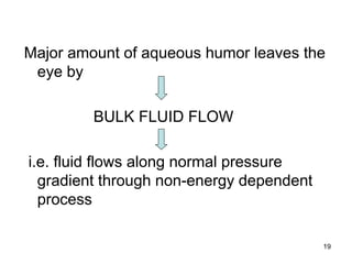 Major amount of aqueous humor leaves the
eye by
BULK FLUID FLOW
i.e. fluid flows along normal pressure
gradient through non-energy dependent
process
19
 