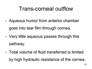 Trans-corneal outflow
- Aqueous humor from anterior chamber
goes into tear film through cornea.
- Very little aqueous passes through this
pathway.
- Total volume of fluid transferred is limited
by high hydraulic resistance of the cornea.
28
 