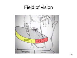 Field of vision
38
 