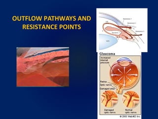 OUTFLOW PATHWAYS AND
RESISTANCE POINTS
 