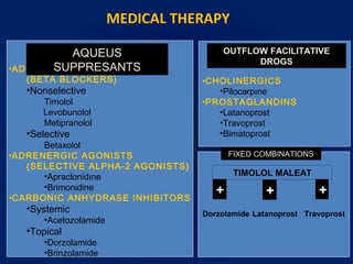 •CHOLINERGICS
•Pilocarpıne
•PROSTAGLANDINS
•Latanoprost
•Travoprost
•Bimatoprost
MEDICAL THERAPY
•ADRENERGIC ANTAGONISTS
(BETA BLOCKERS)
•Nonselective
Timolol
Levobunolol
Metipranolol
•Selective
Betaxolol
•ADRENERGIC AGONISTS
(SELECTIVE ALPHA-2 AGONISTS)
•Apraclonidıne
•Brimonidine
•CARBONIC ANHYDRASE INHIBITORS
•Systemic
•Acetozolamide
•Topical
•Dorzolamide
•Brinzolamide
AQUEUS
SUPPRESANTS
OUTFLOW FACILITATIVE
DROGS
FIXED COMBINATIONS
TIMOLOL MALEAT
+
Dorzolamide Latanoprost
+ +
Travoprost
 