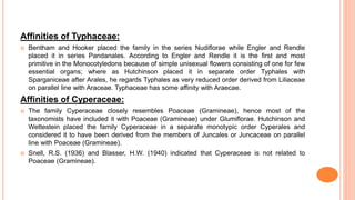 Affinities of Typhaceae:
 Bentham and Hooker placed the family in the series Nudiflorae while Engler and Rendle
placed it in series Pandanales. According to Engler and Rendle it is the first and most
primitive in the Monocotyledons because of simple unisexual flowers consisting of one for few
essential organs; where as Hutchinson placed it in separate order Typhales with
Sparganiceae after Arales, he regards Typhales as very reduced order derived from Liliaceae
on parallel line with Araceae. Typhaceae has some affinity with Araecae.
Affinities of Cyperaceae:
 The family Cyperaceae closely resembles Poaceae (Gramineae), hence most of the
taxonomists have included it with Poaceae (Gramineae) under Glumiflorae. Hutchinson and
Wettestein placed the family Cyperaceae in a separate monotypic order Cyperales and
considered it to have been derived from the members of Juncales or Juncaceae on parallel
line with Poaceae (Gramineae).
 Snell, R.S. (1936) and Blasser, H.W. (1940) indicated that Cyperaceae is not related to
Poaceae (Gramineae).
 
