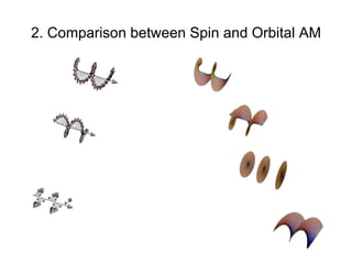 2. Comparison between Spin and Orbital AM 