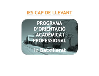 IES CAP DE LLEVANT

   PROGRAMA
  D’ORIENTACIÓ
   ACADÈMICA I
  PROFESSIONAL

  1r Batxillerat



                     1
 