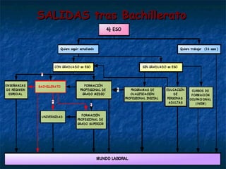 SALIDAS tras Bachillerato 