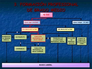 3. FORMACIÓN PROFESIONAL DE GRADO MEDIO 