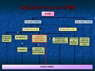 SALIDAS tras un CFGM 