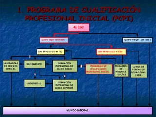 1. PROGRAMA DE CUALIFICACIÓN PROFESIONAL INICIAL (PCPI) 